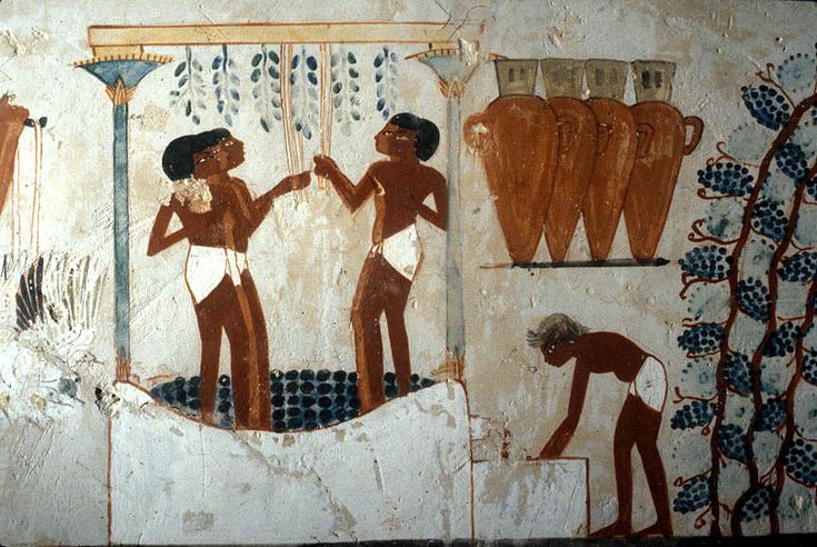 Egypt Wine for Kings and Eternity